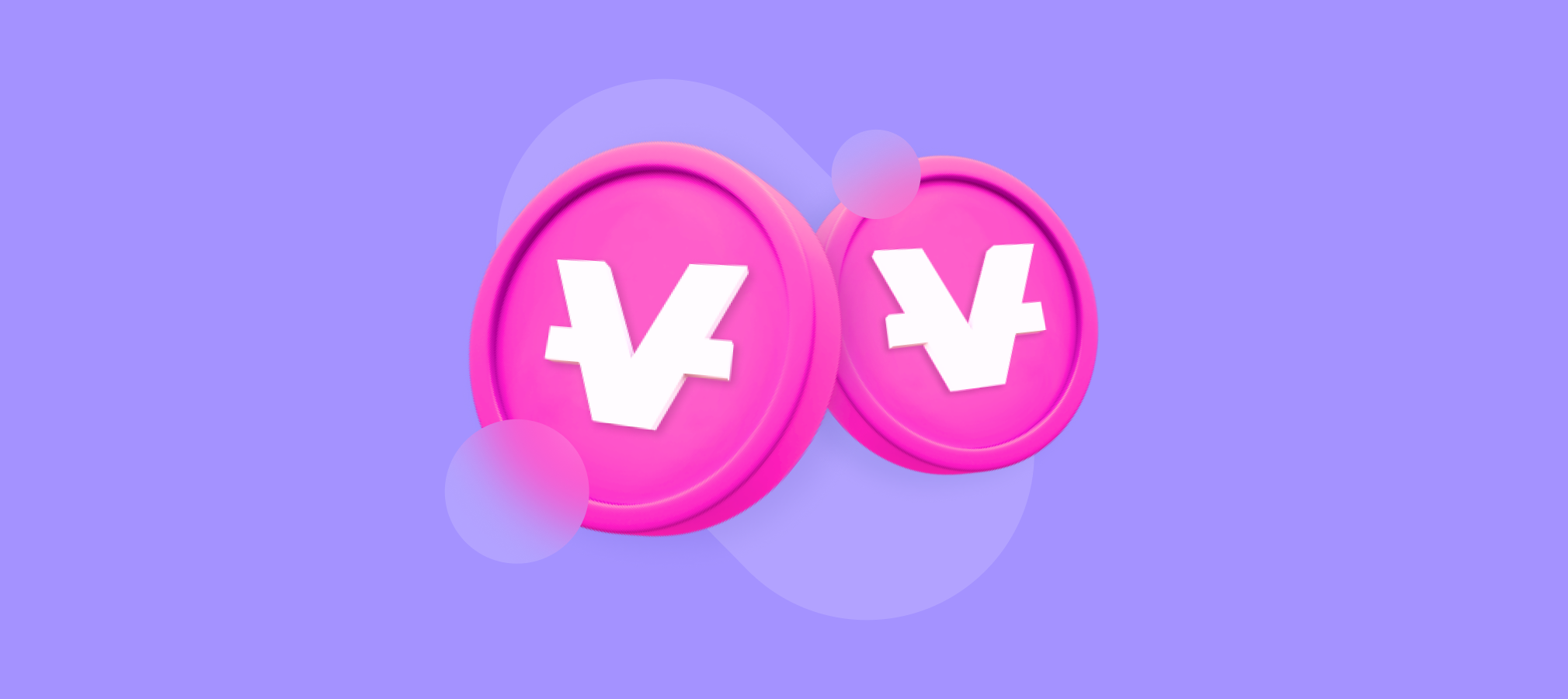 What Is VIDY (VIDY)?