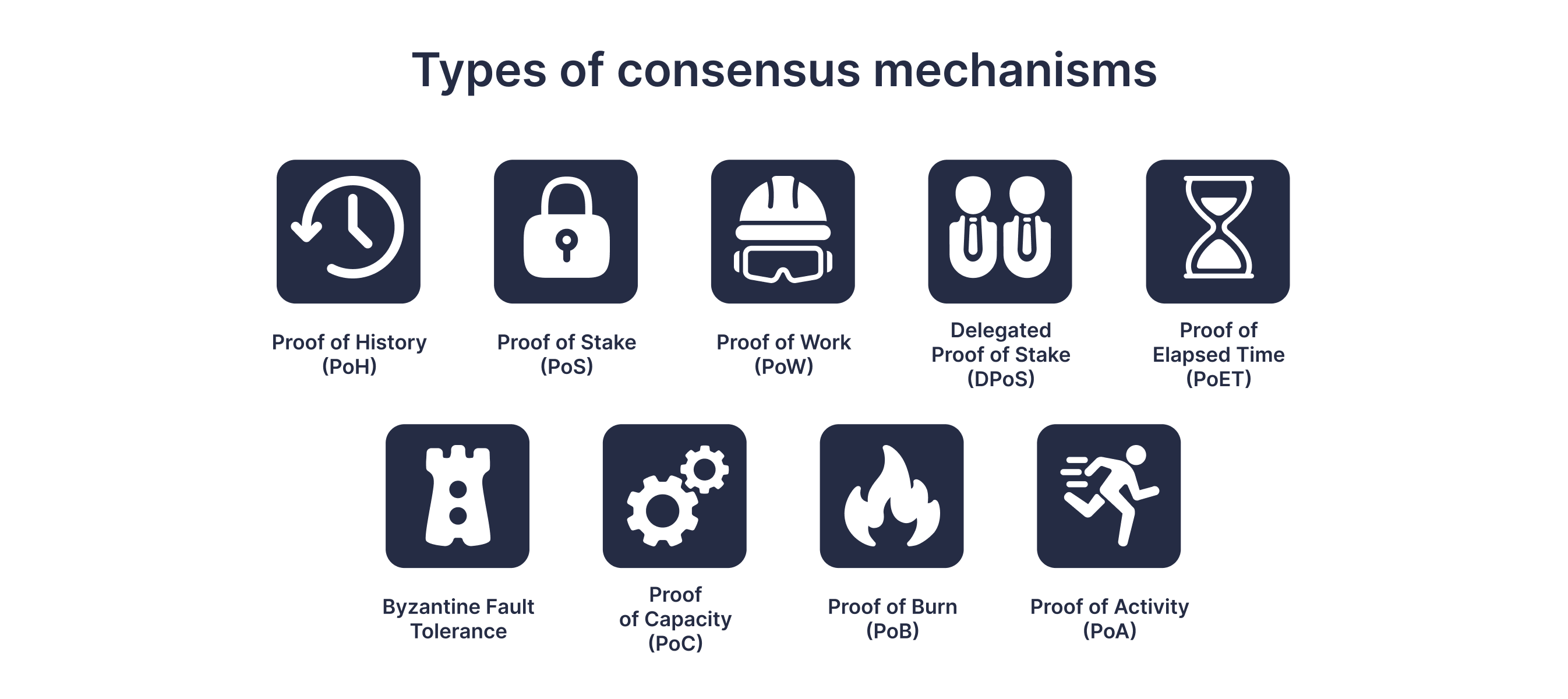 A Guide to Consensus Mechanisms content image