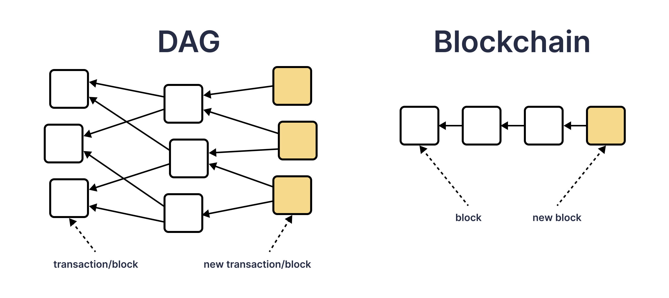 The Application of Directed Acyclic Graphs (DAGs) content image