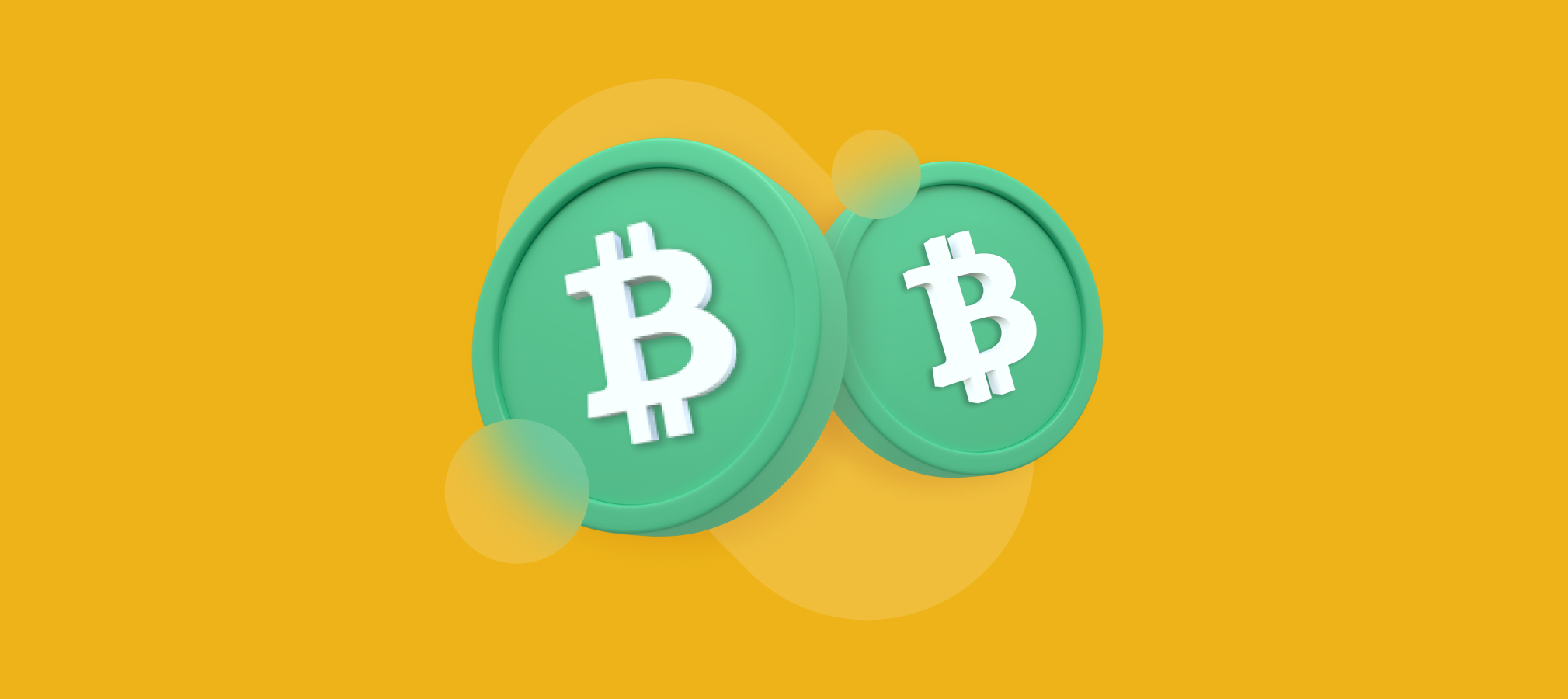 what-is-bitcoin-cash