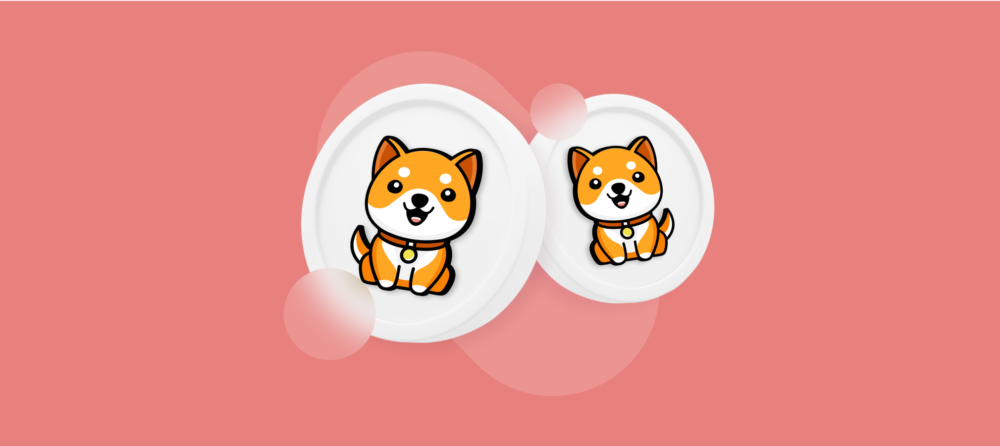 What Is Baby Doge Coin?
